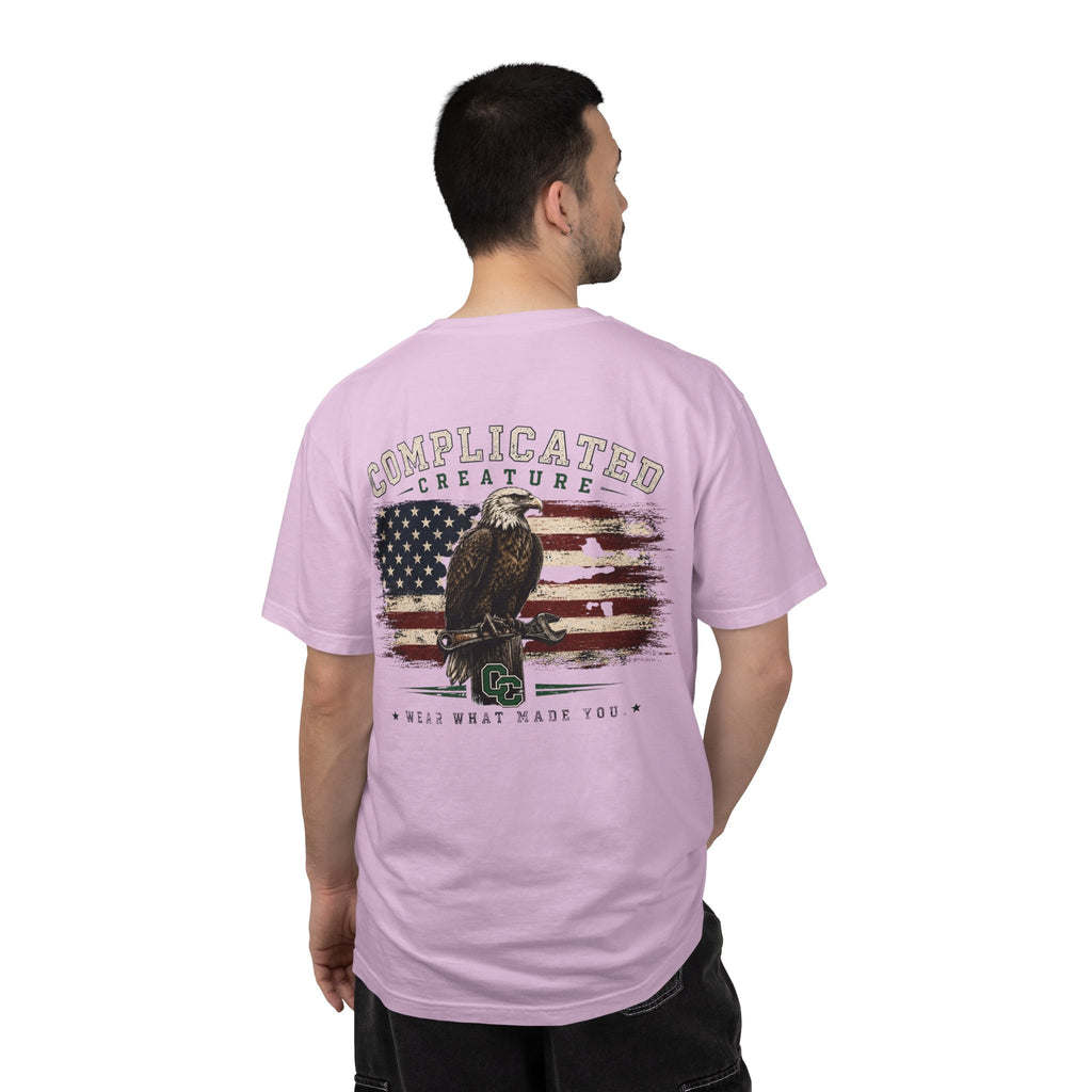 American Flag and eagle CC