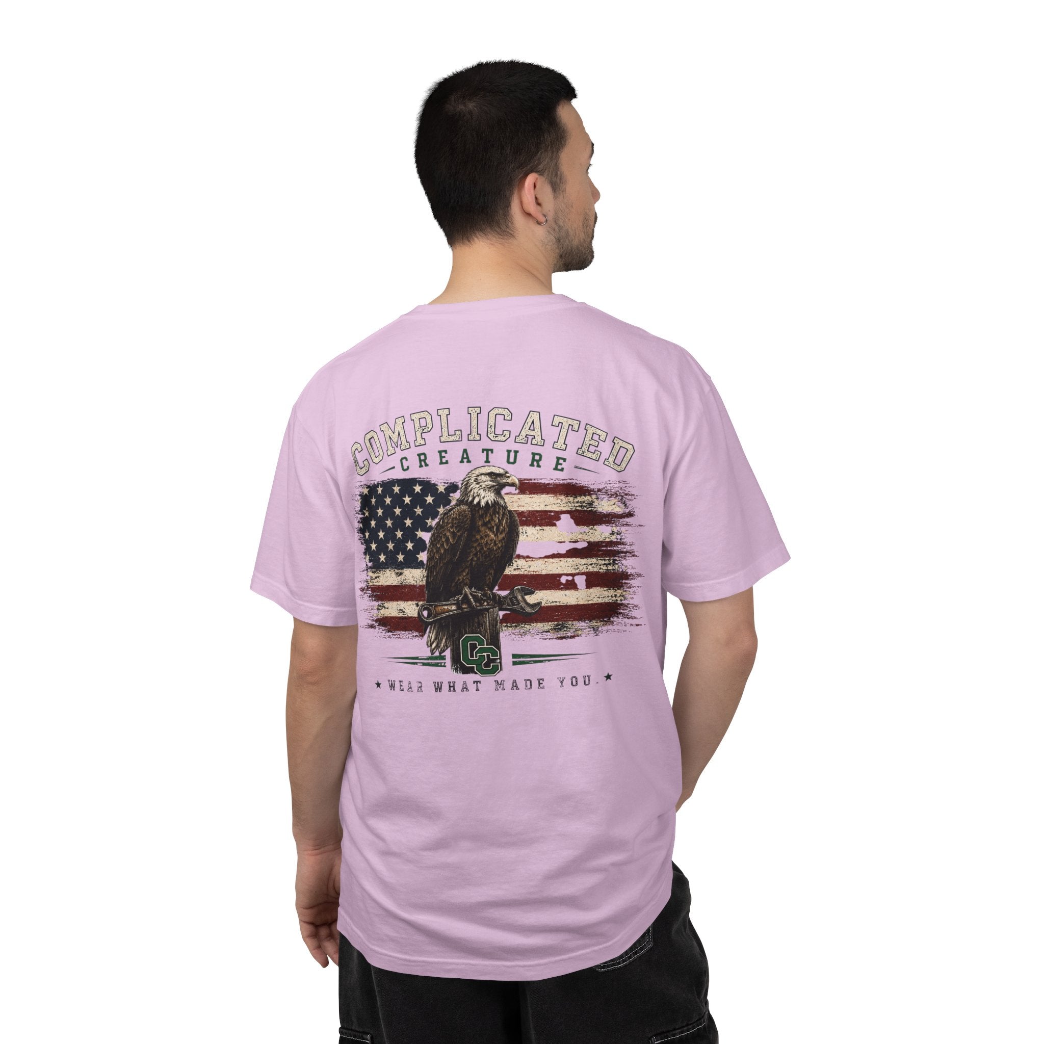 American Flag and eagle CC