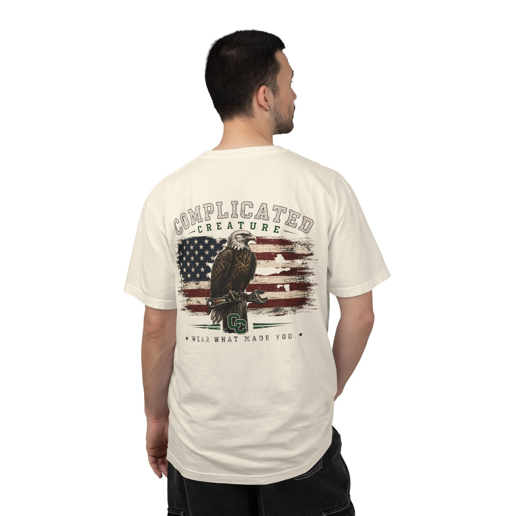 American Flag and eagle CC