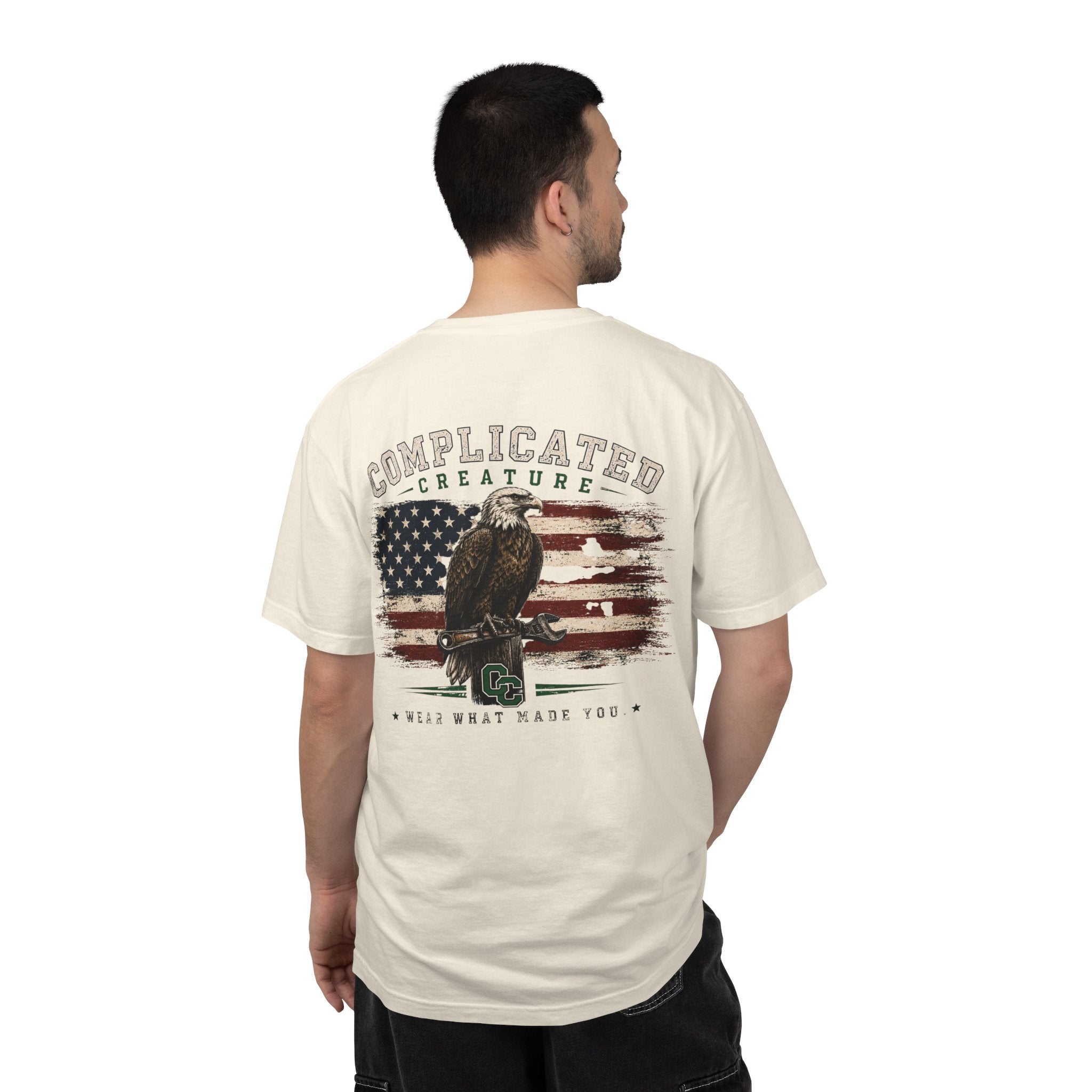 American Flag and eagle CC