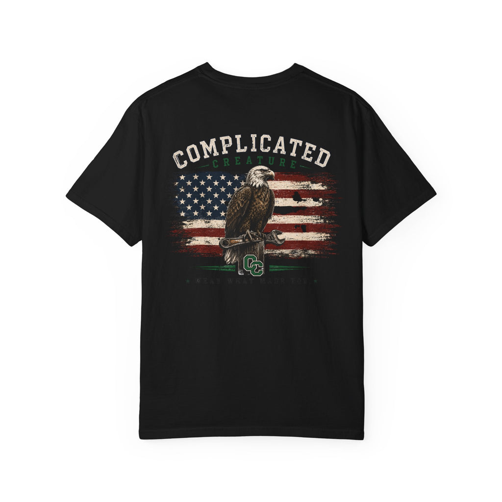 American Flag and eagle CC