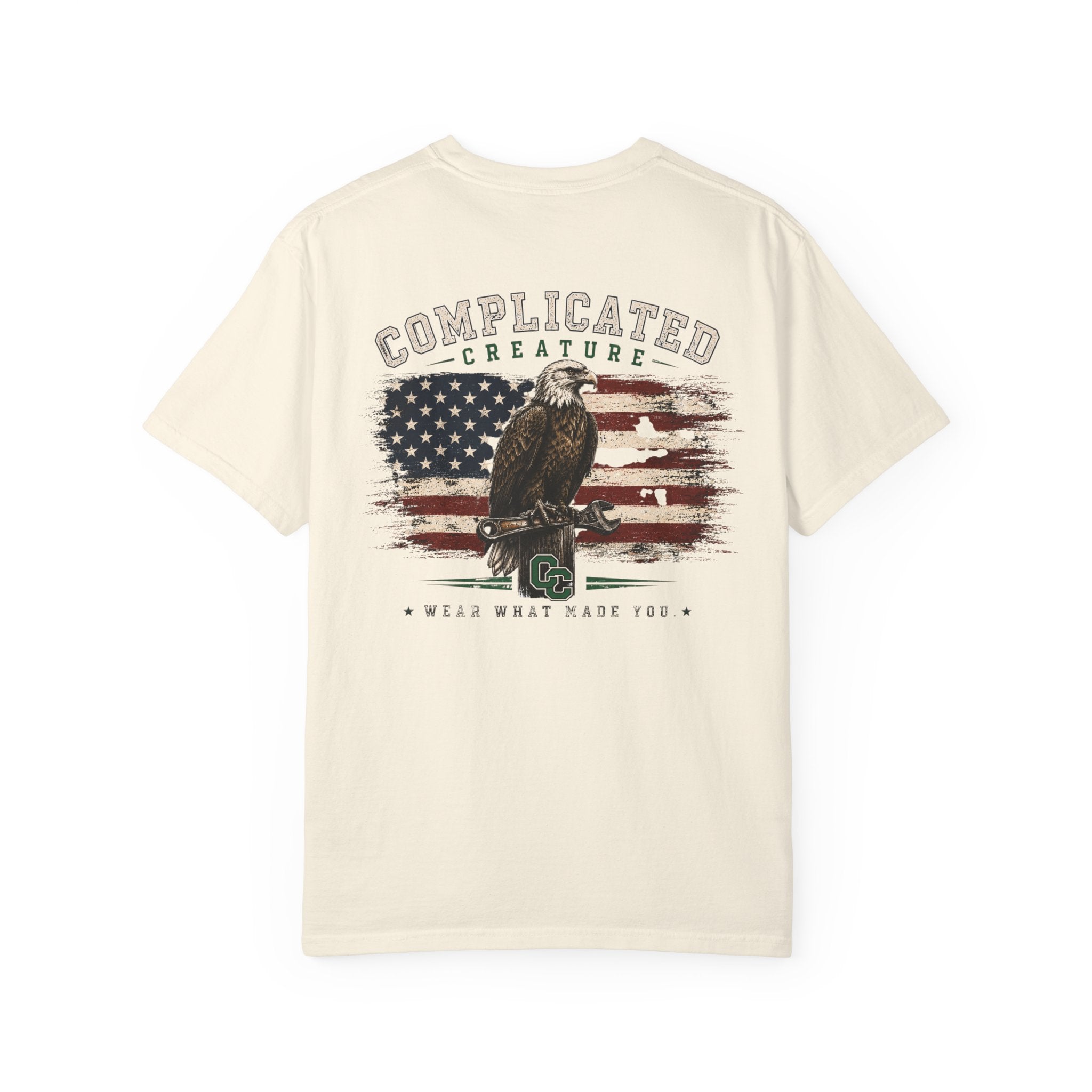 American Flag and eagle CC
