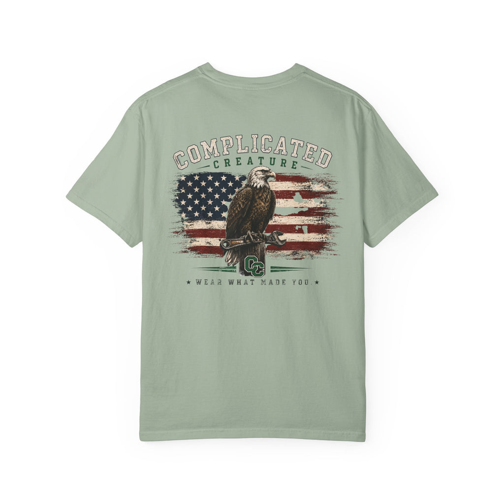 American Flag and eagle CC