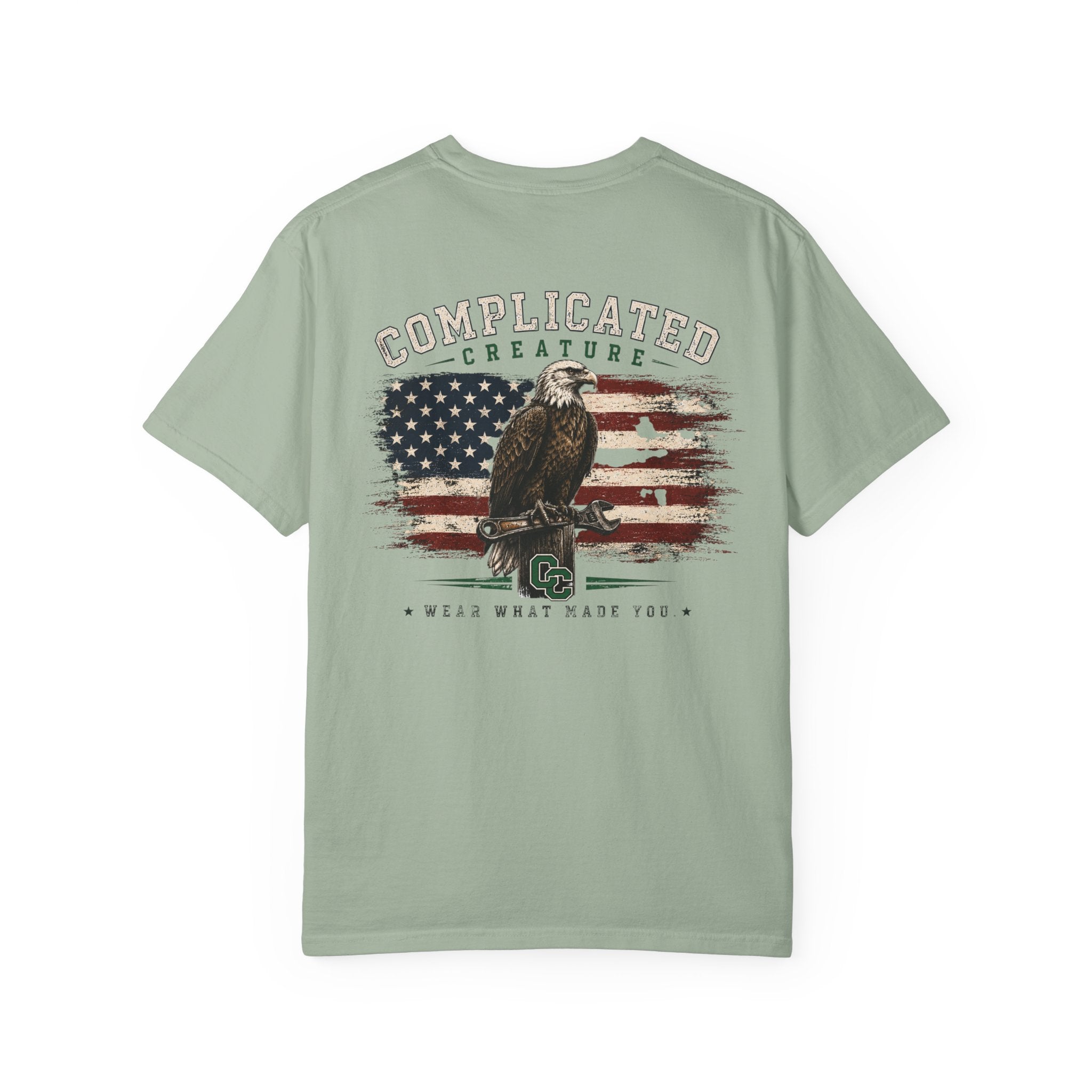 American Flag and eagle CC
