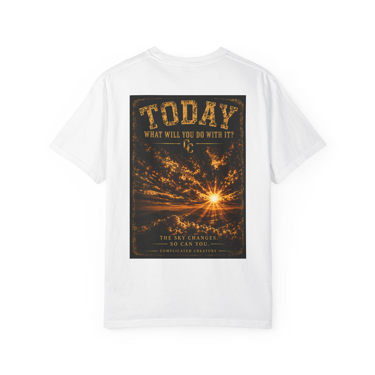 Today what will you do