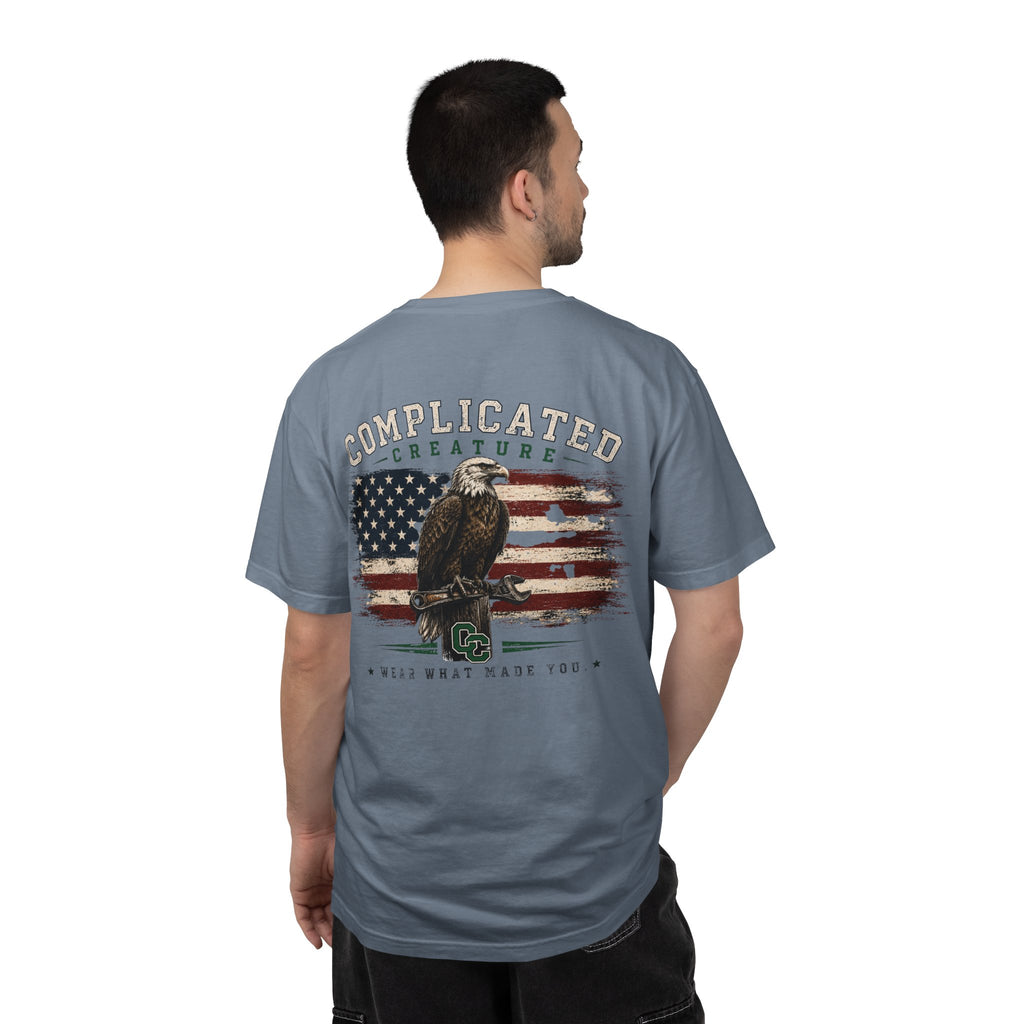 American Flag and eagle CC