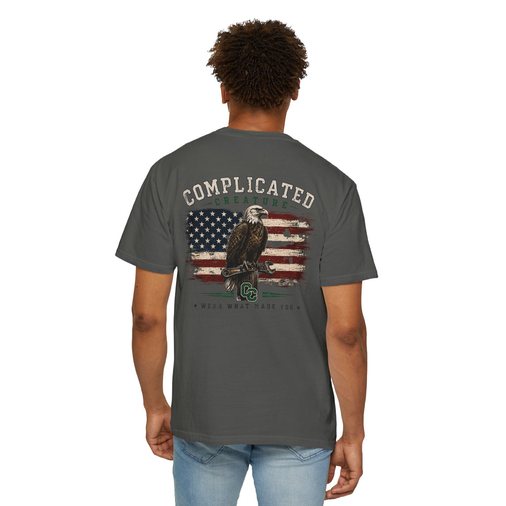 American Flag and eagle CC