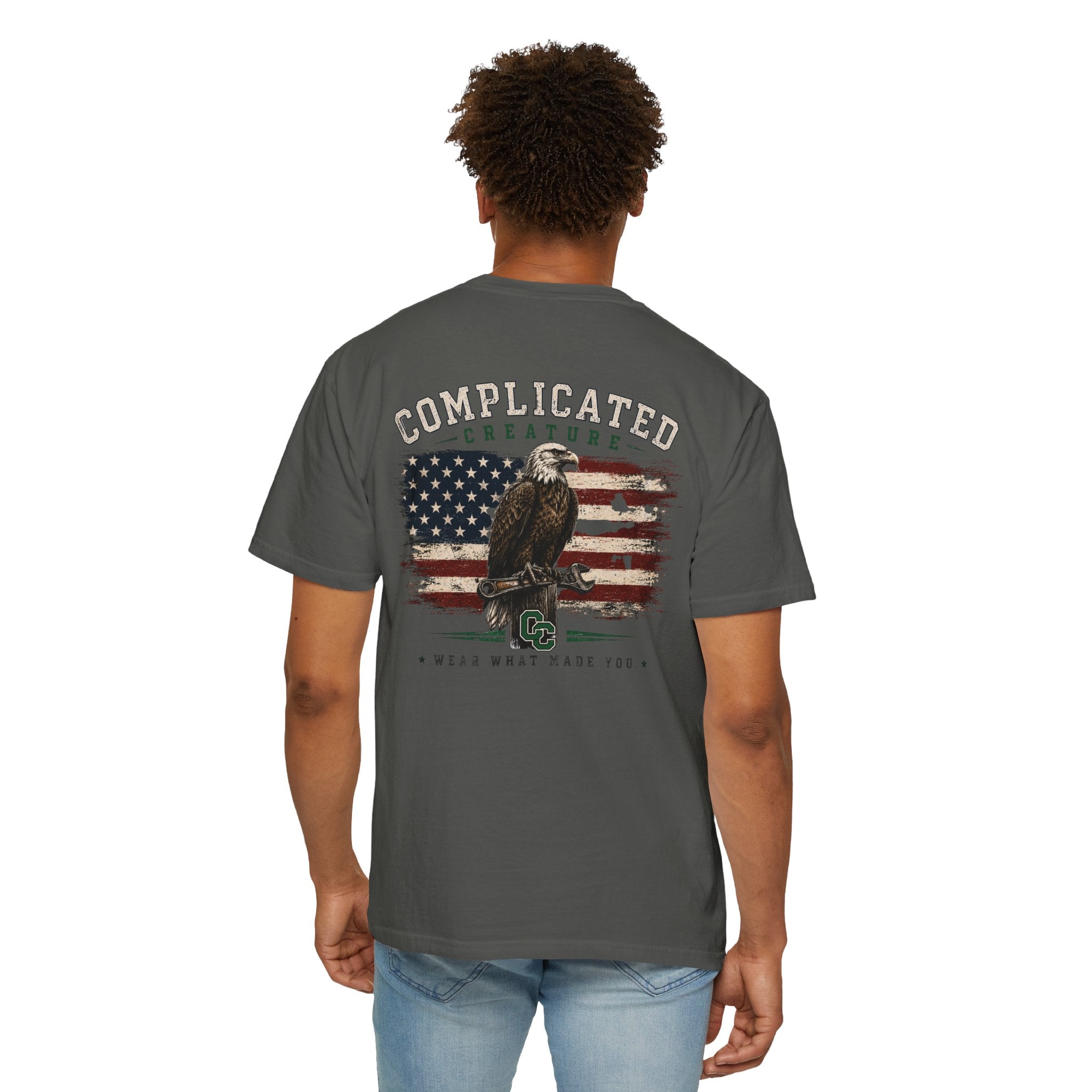 American Flag and eagle CC