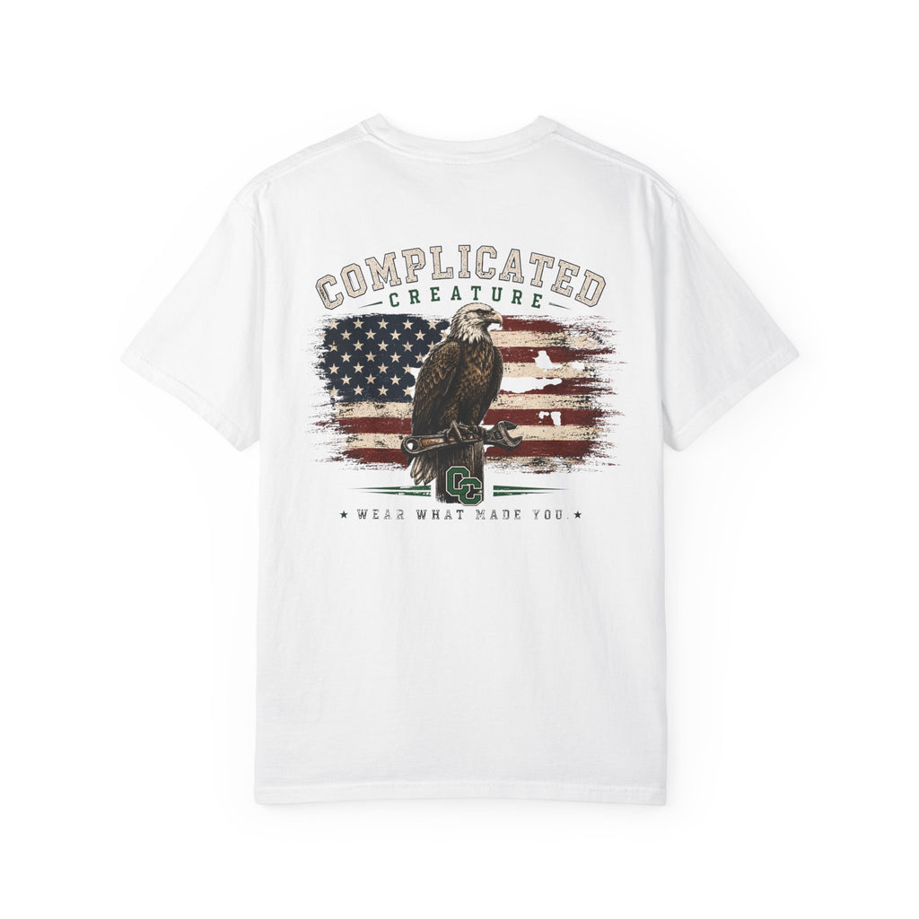 American Flag and eagle CC