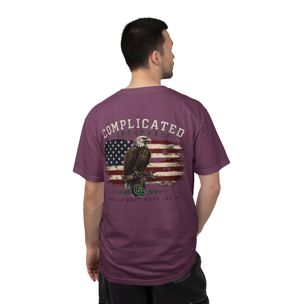 American Flag and eagle CC