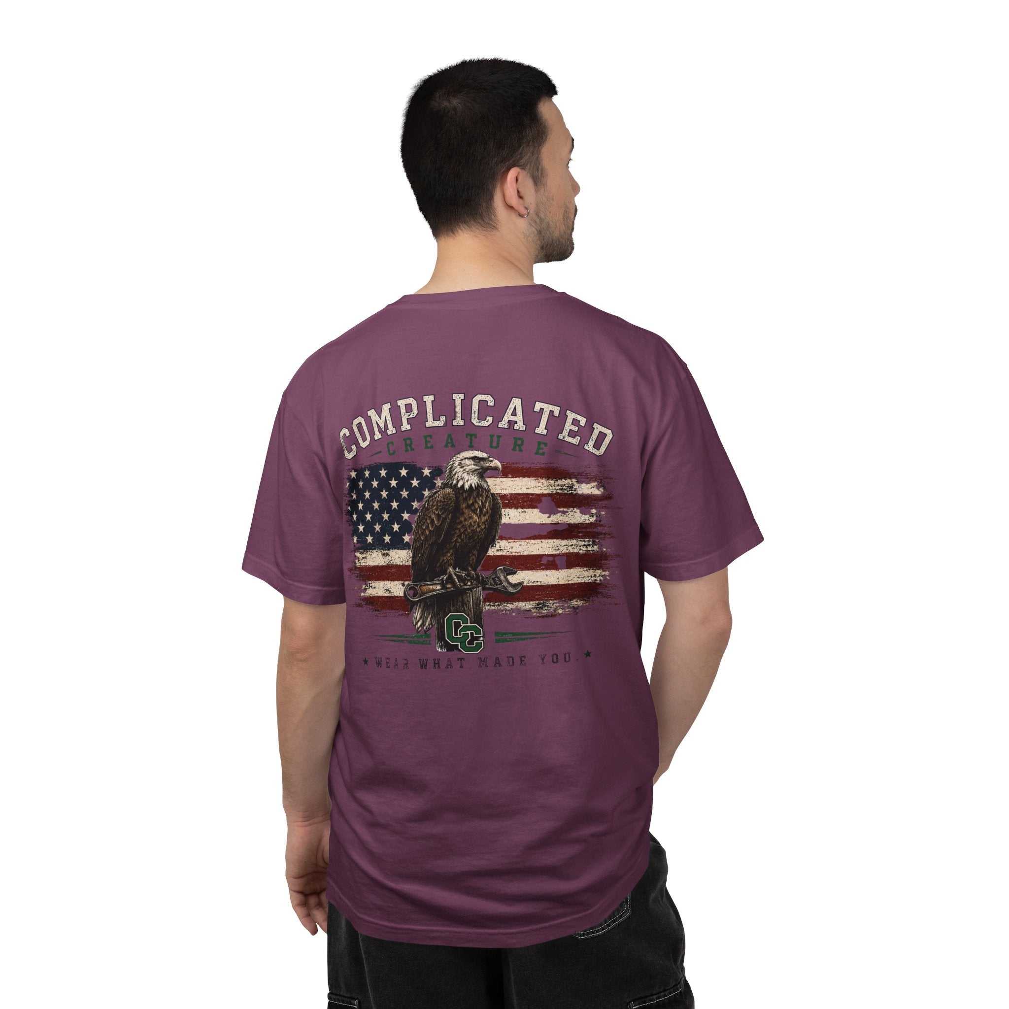 American Flag and eagle CC