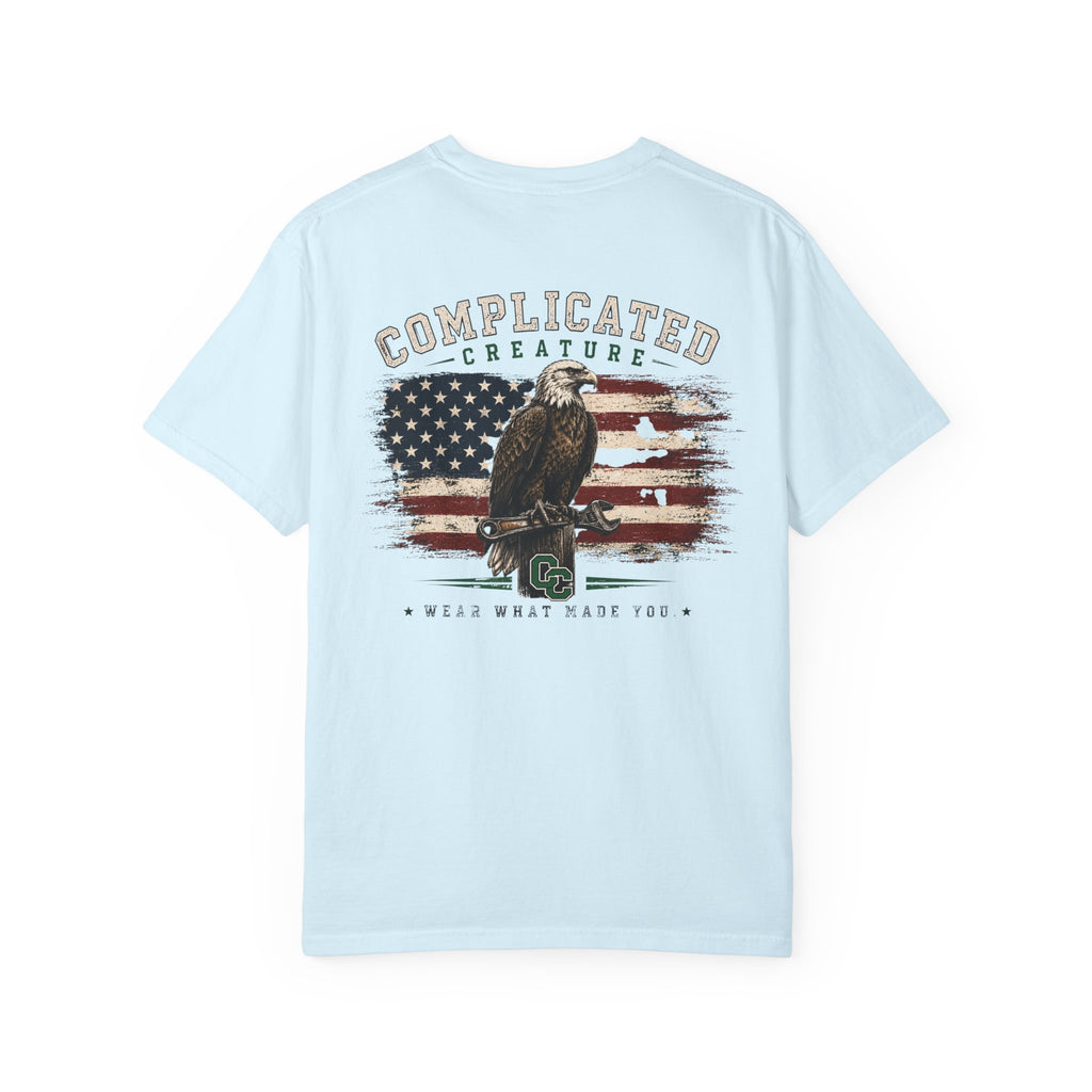 American Flag and eagle CC