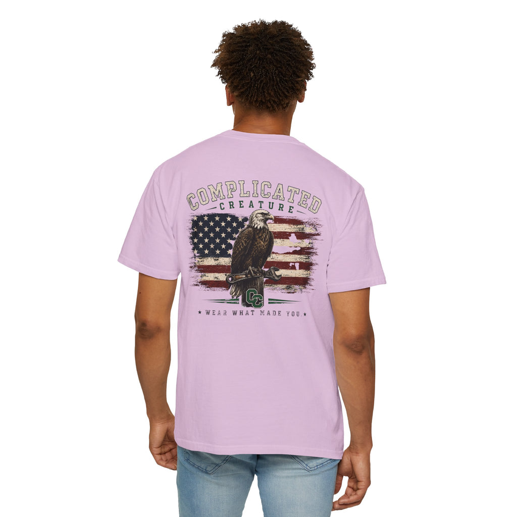 American Flag and eagle CC