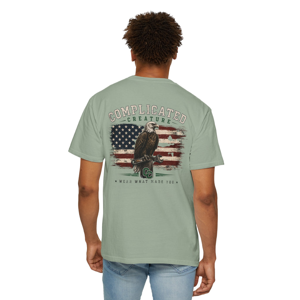 American Flag and eagle CC