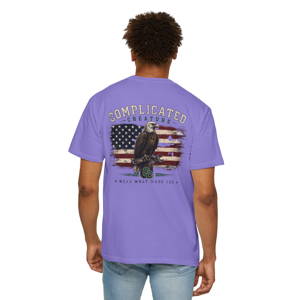 American Flag and eagle CC
