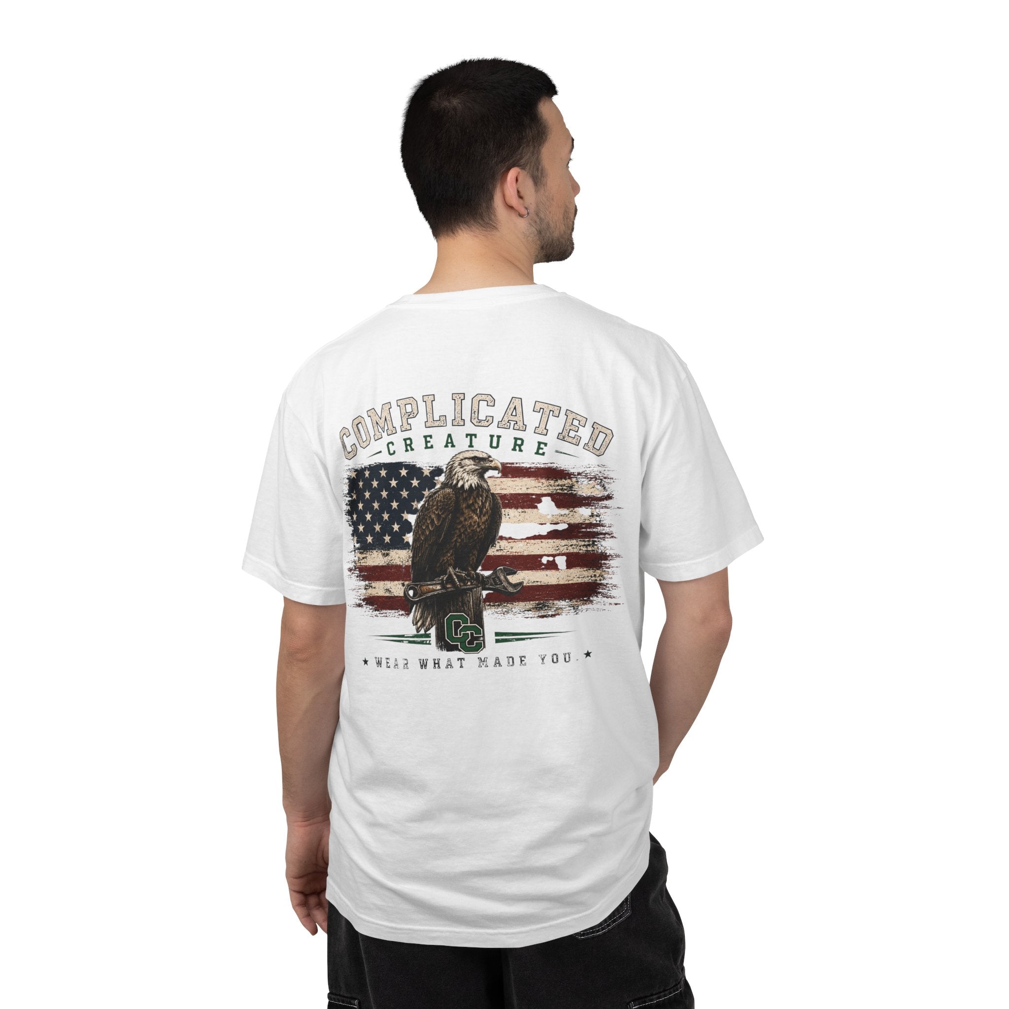 American Flag and eagle CC