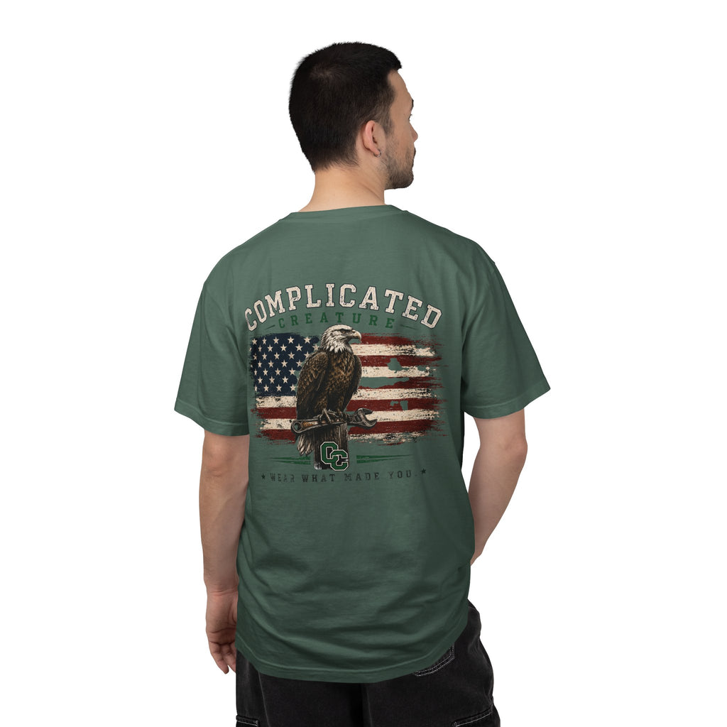 American Flag and eagle CC