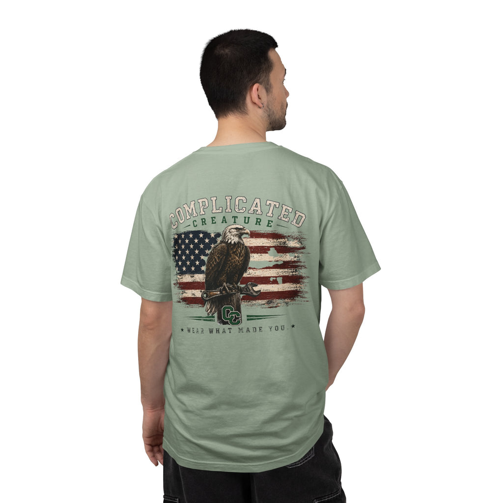 American Flag and eagle CC