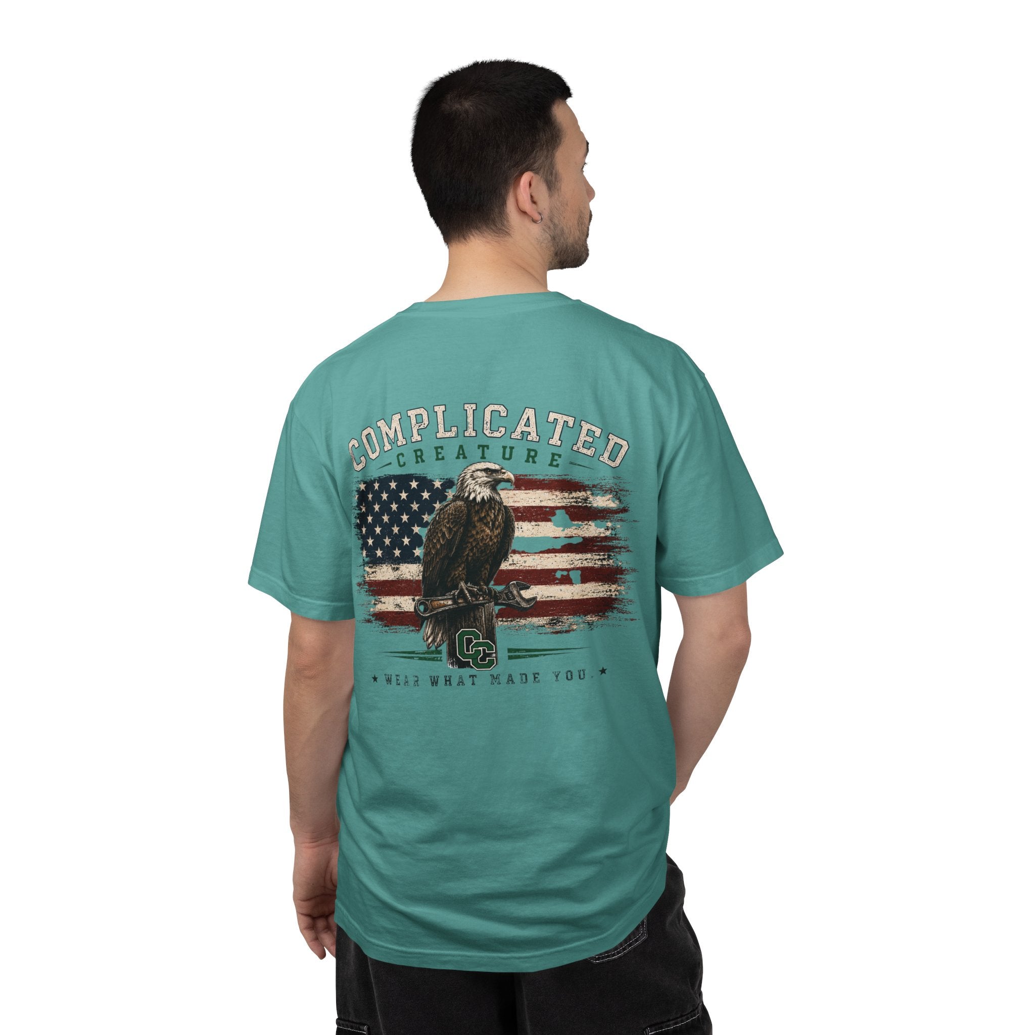 American Flag and eagle CC