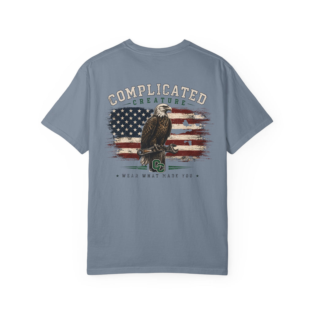 American Flag and eagle CC