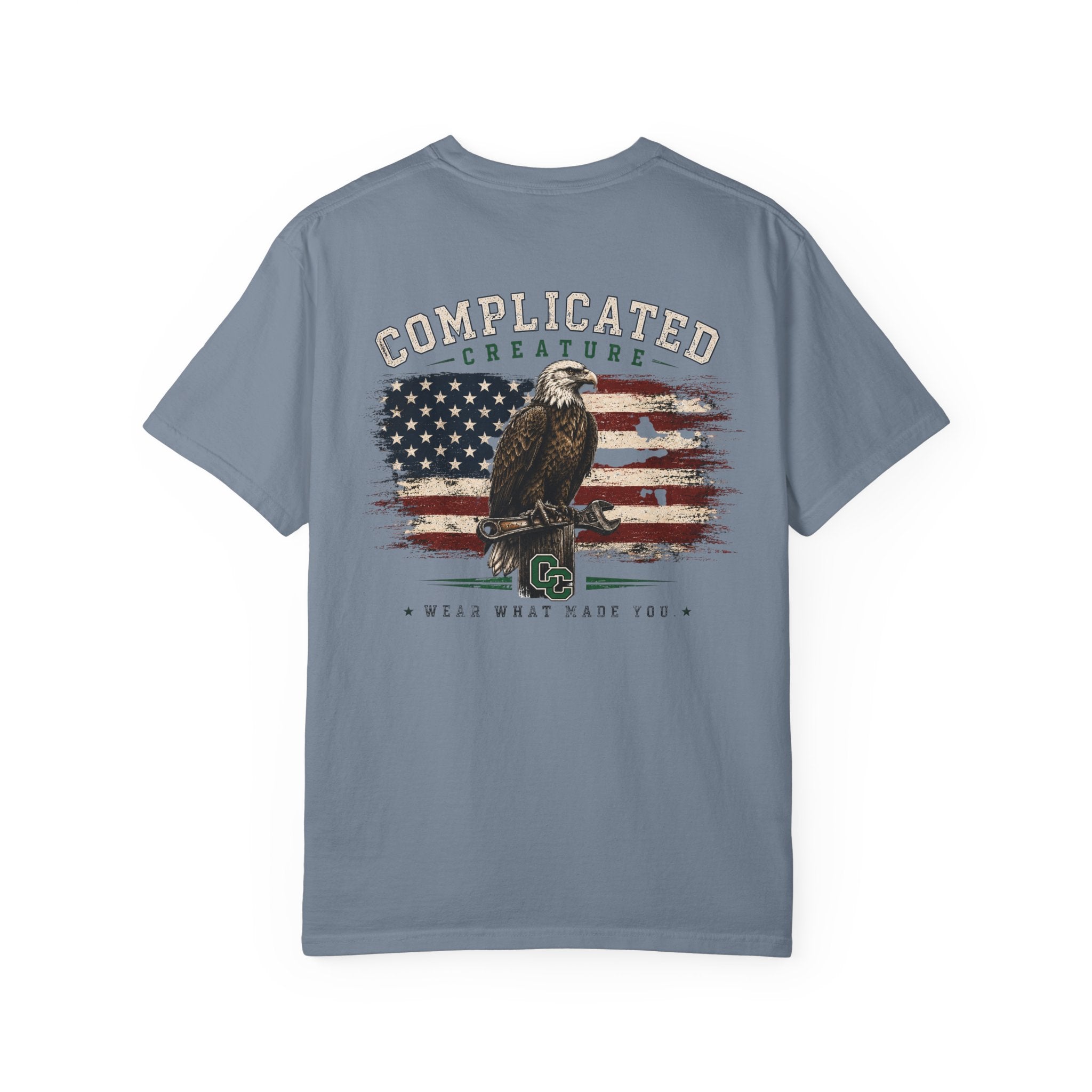American Flag and eagle CC