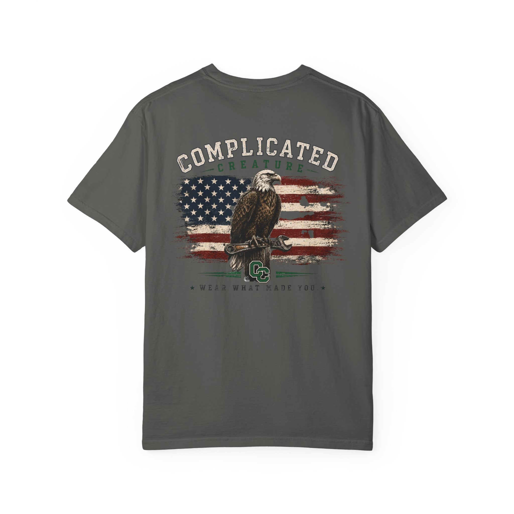 American Flag and eagle CC