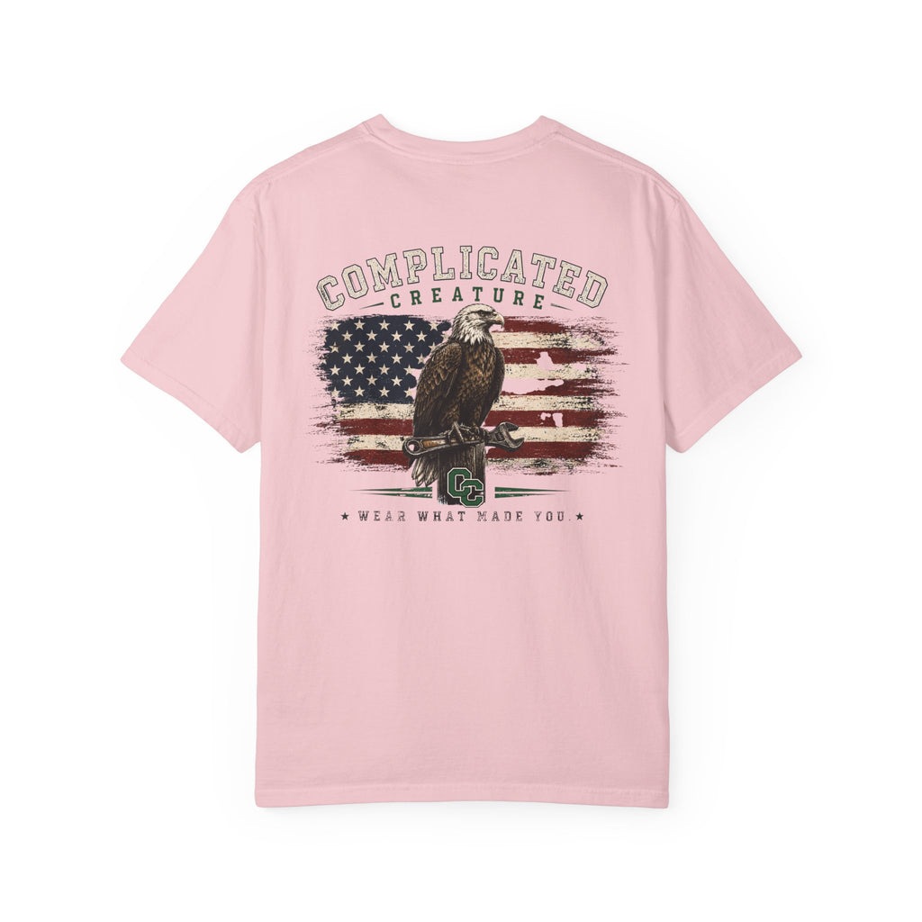 American Flag and eagle CC