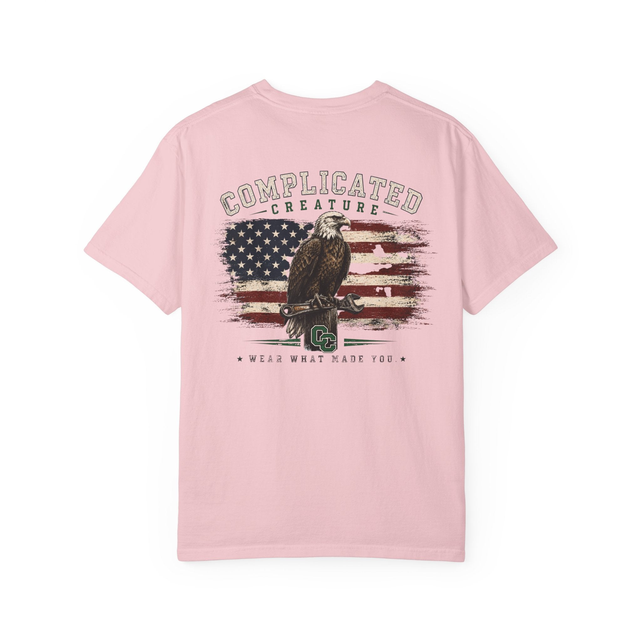 American Flag and eagle CC
