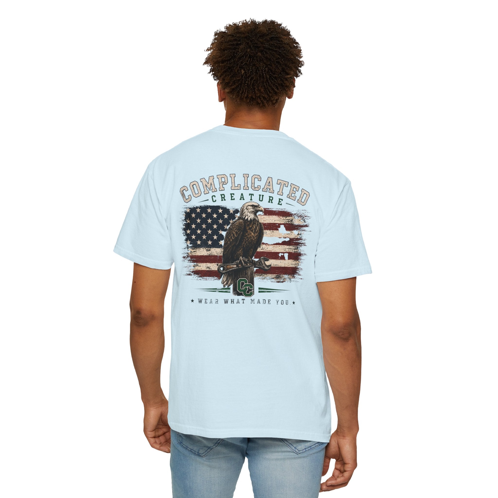 American Flag and eagle CC