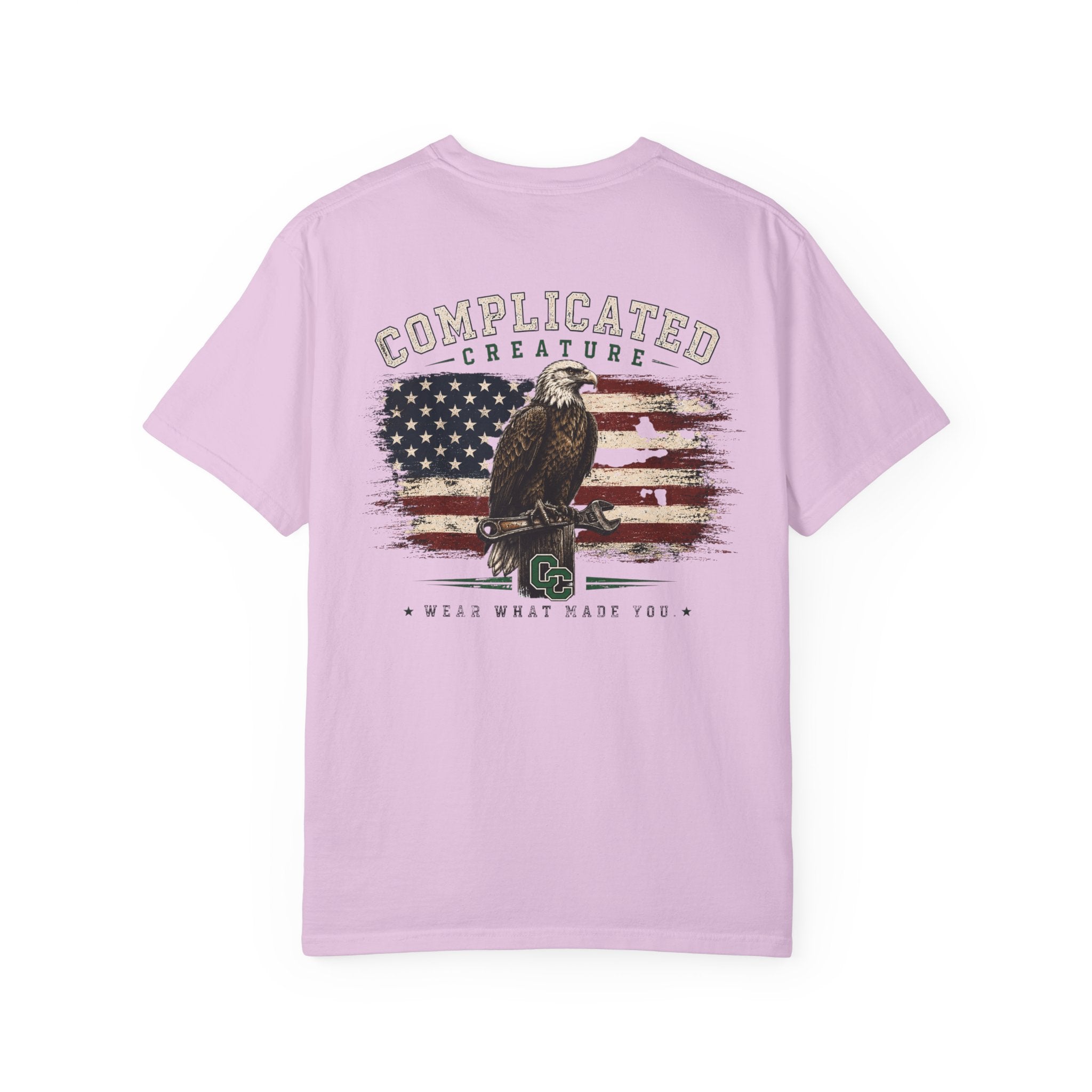 American Flag and eagle CC