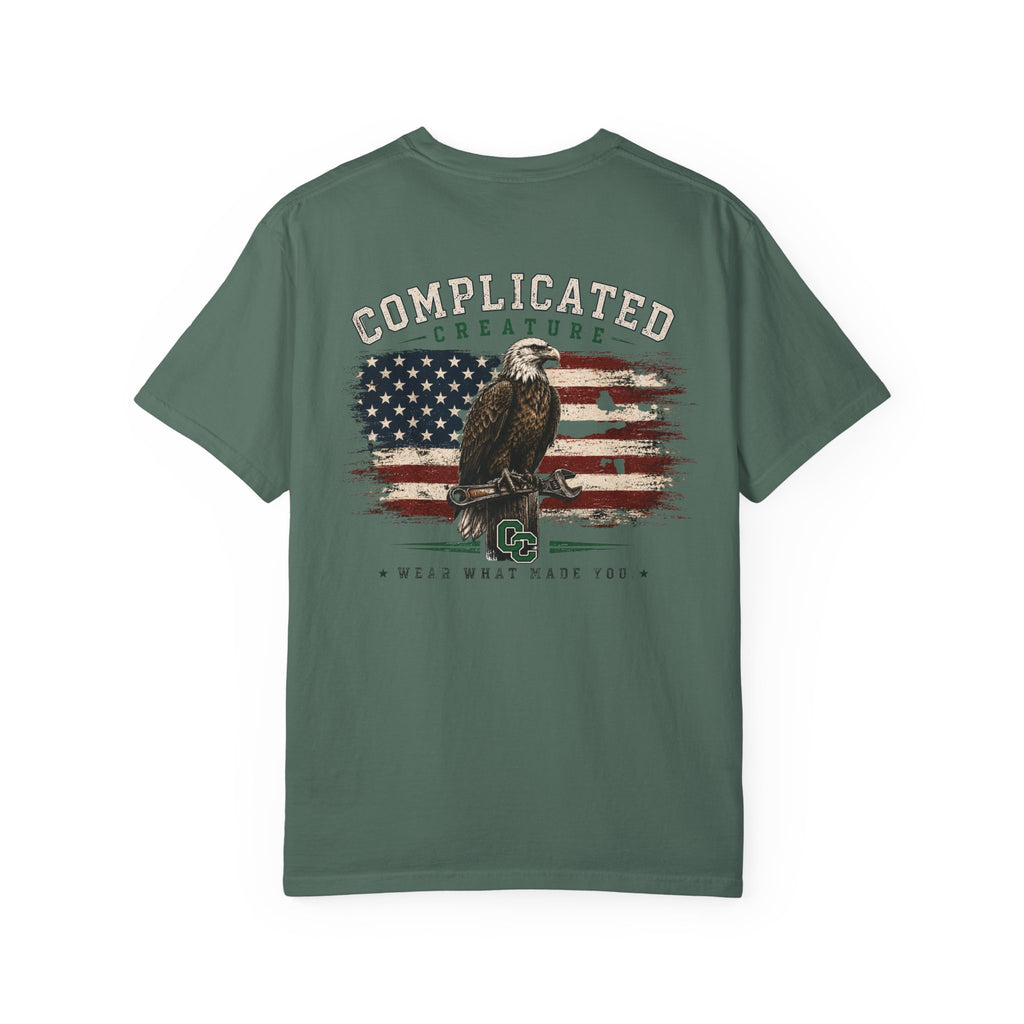 American Flag and eagle CC