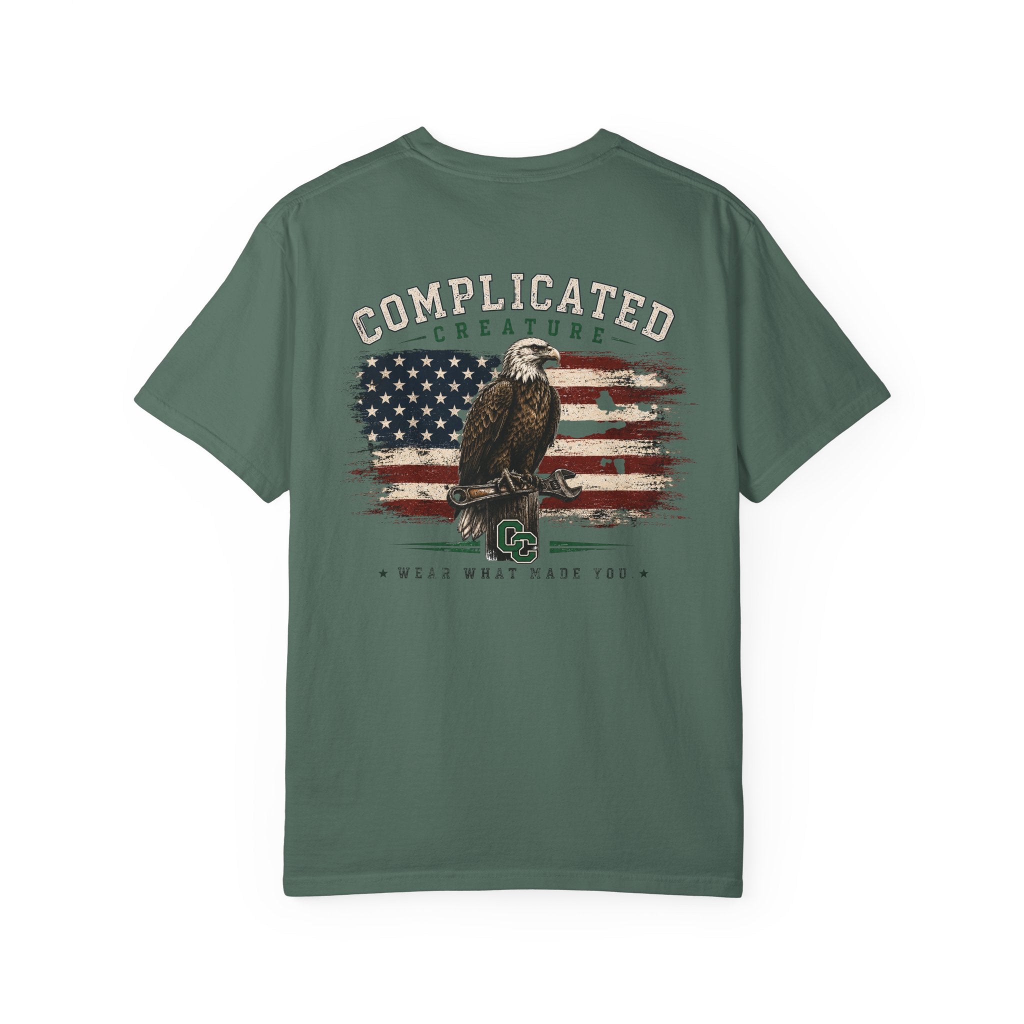 American Flag and eagle CC