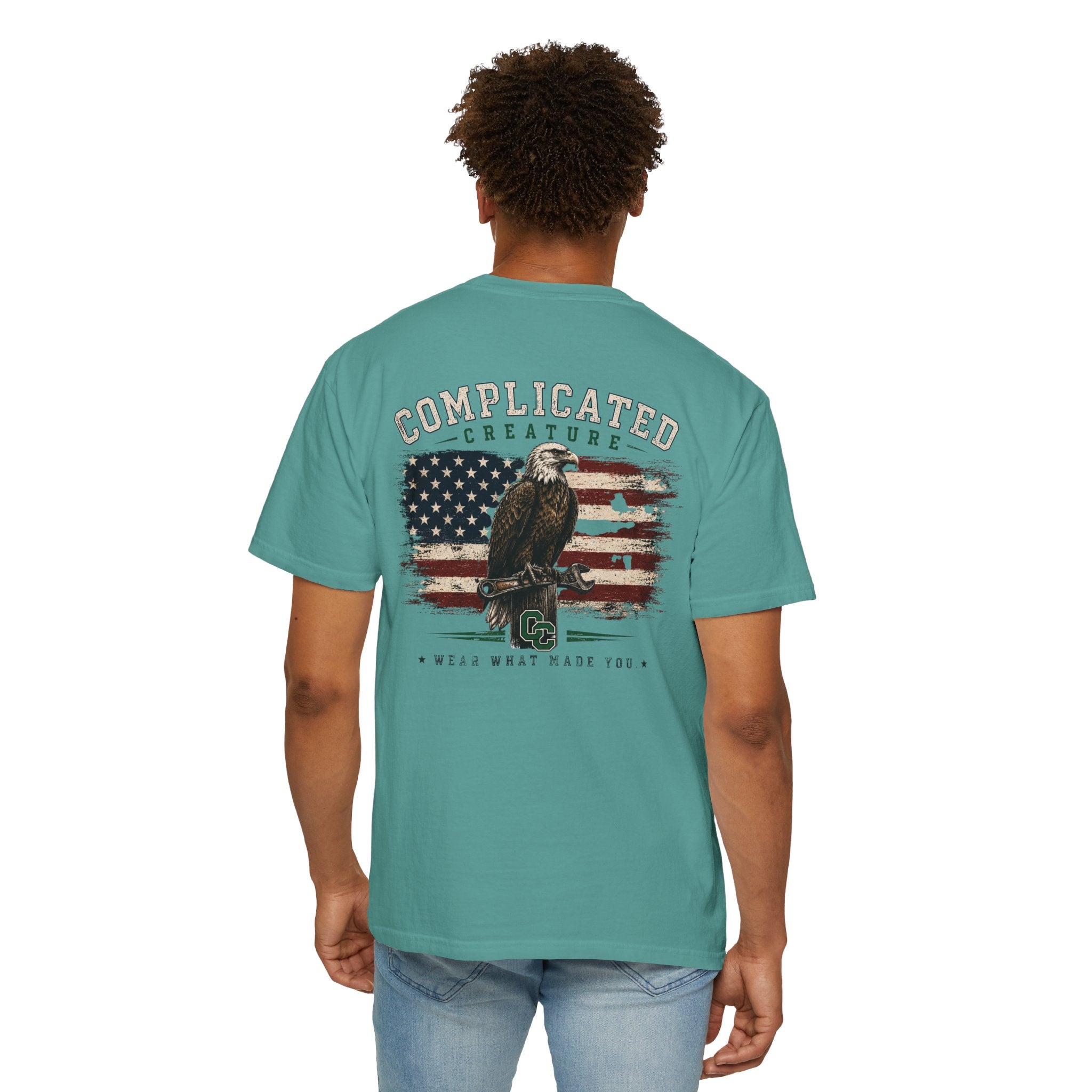 American Flag and eagle CC