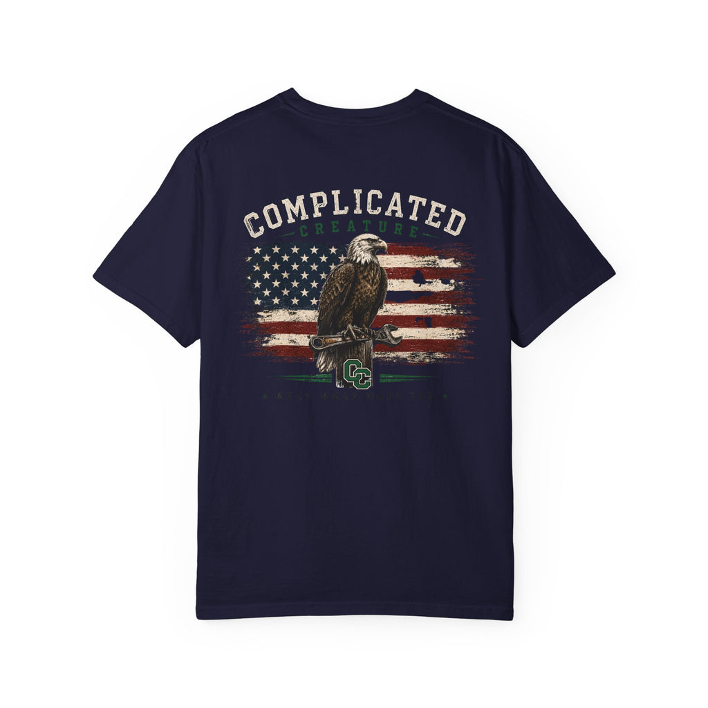 American Flag and eagle CC