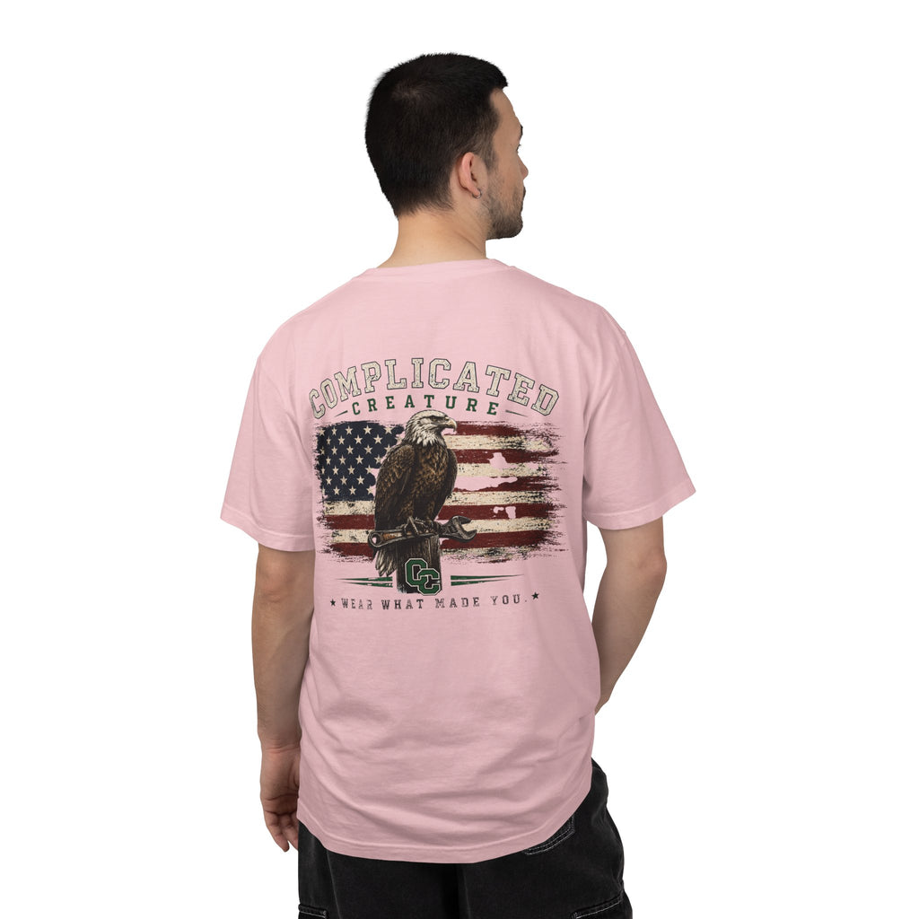 American Flag and eagle CC
