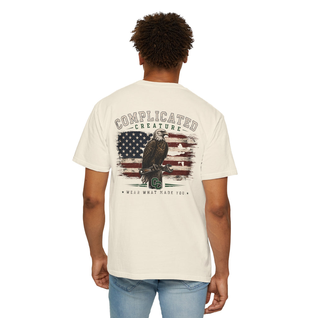 American Flag and eagle CC