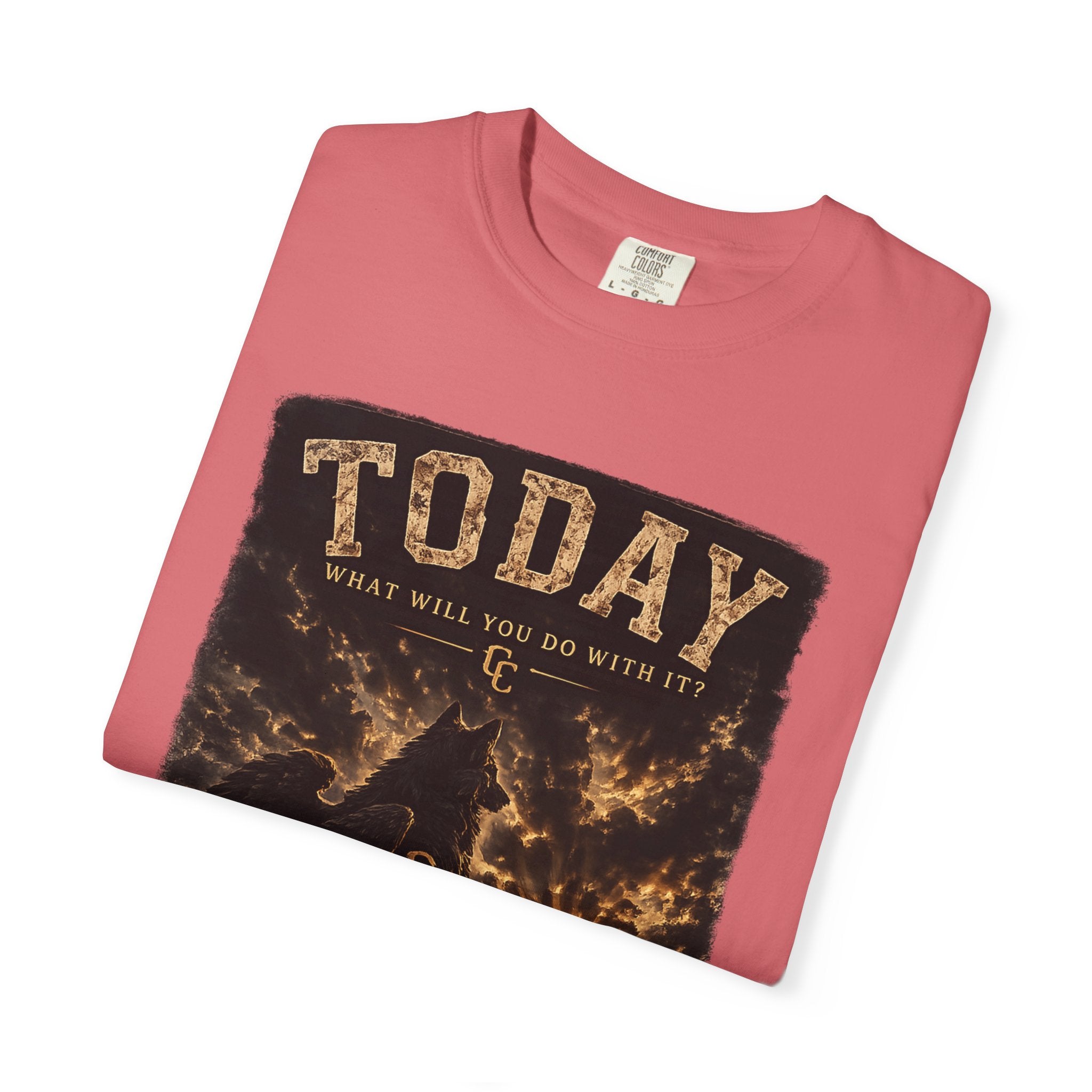 Today what will you do