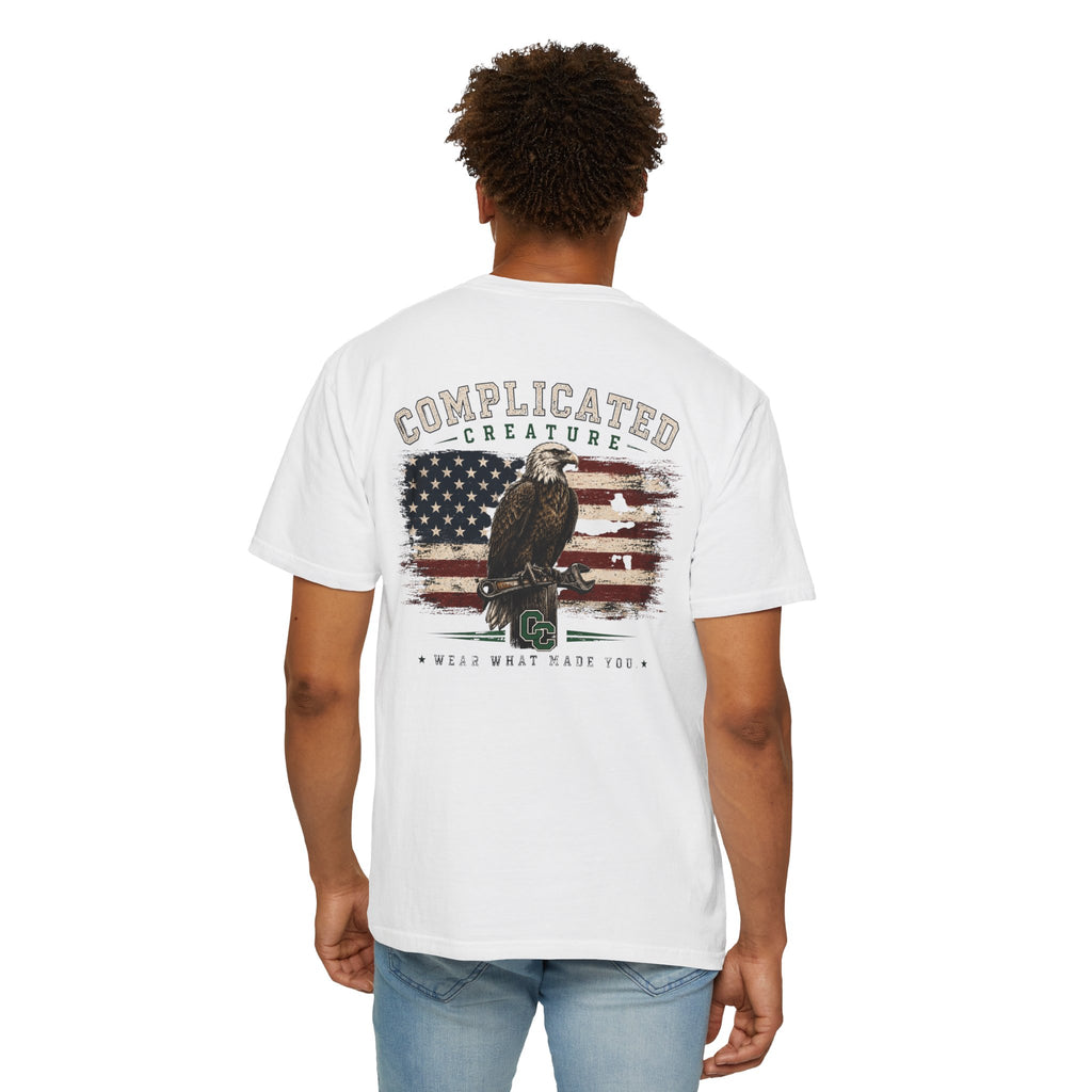 American Flag and eagle CC