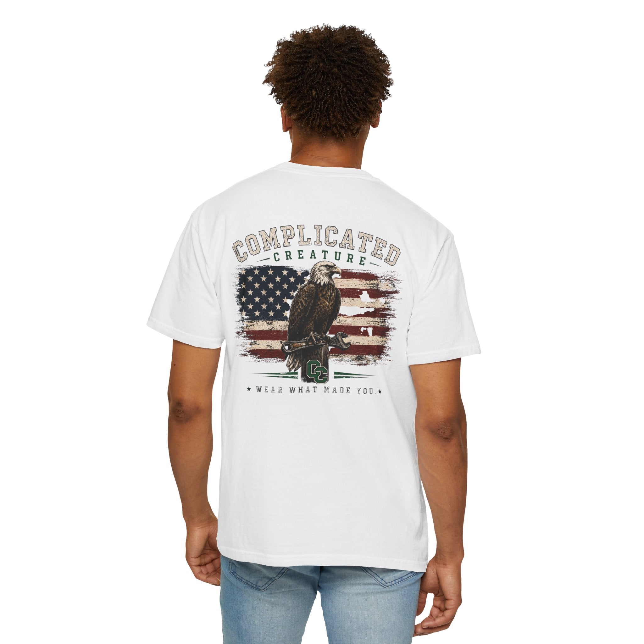 American Flag and eagle CC