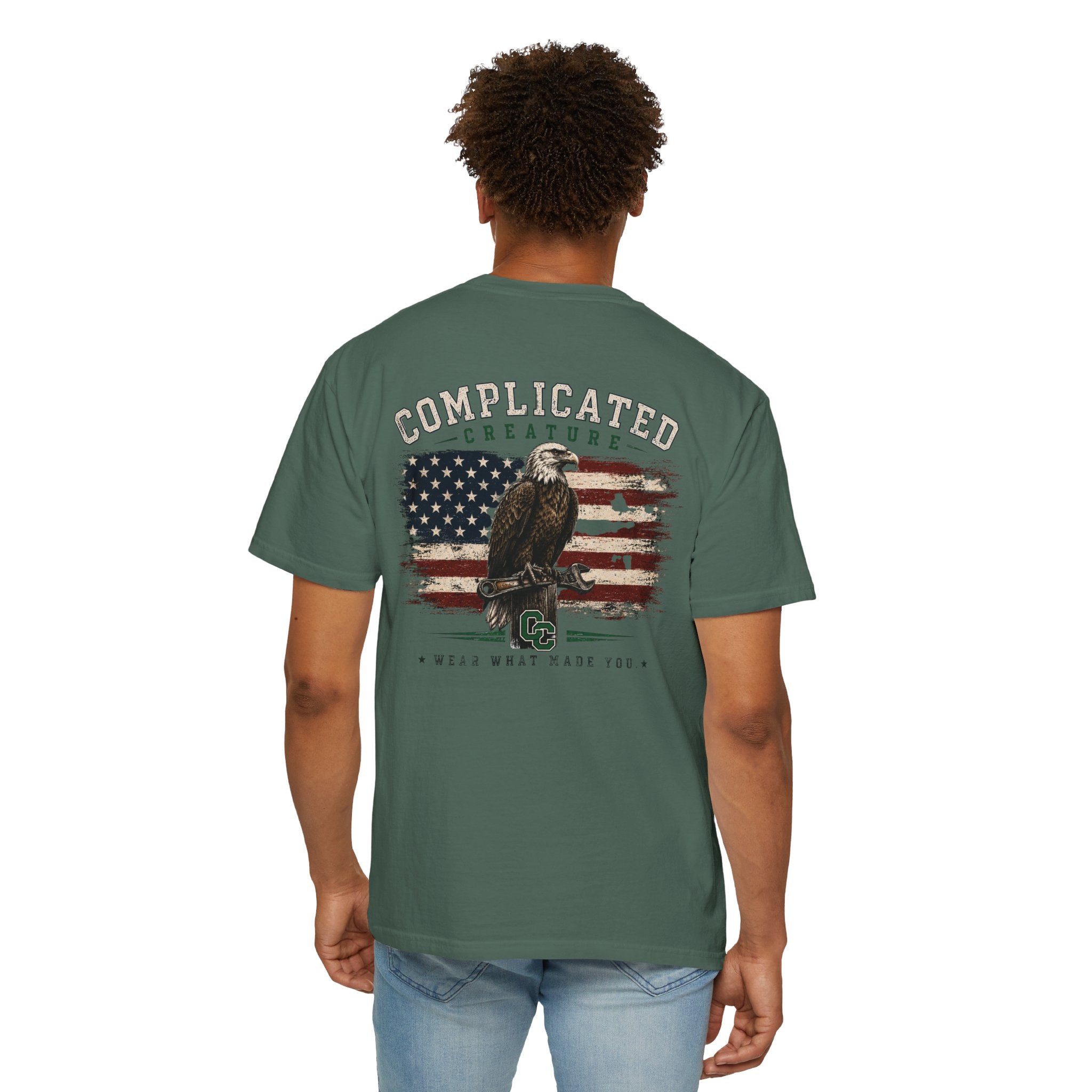 American Flag and eagle CC