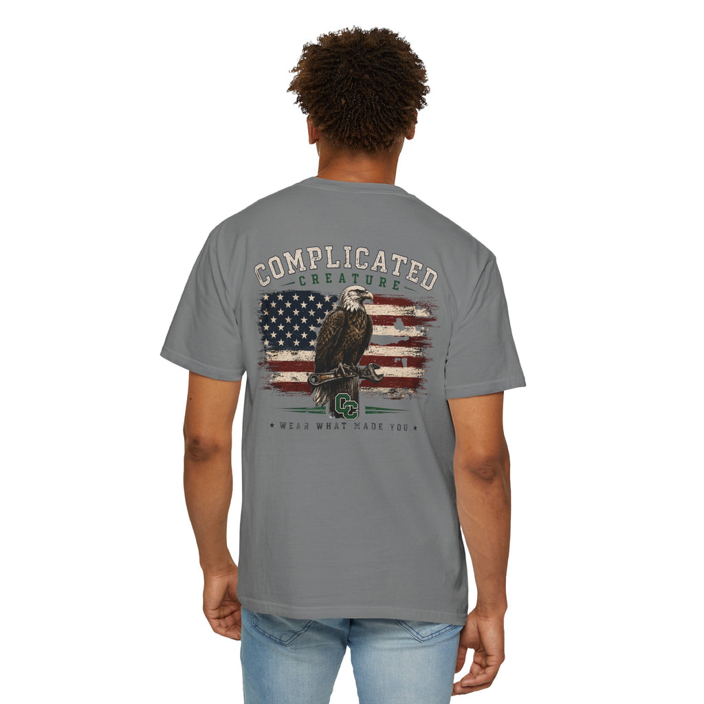 American Flag and eagle CC