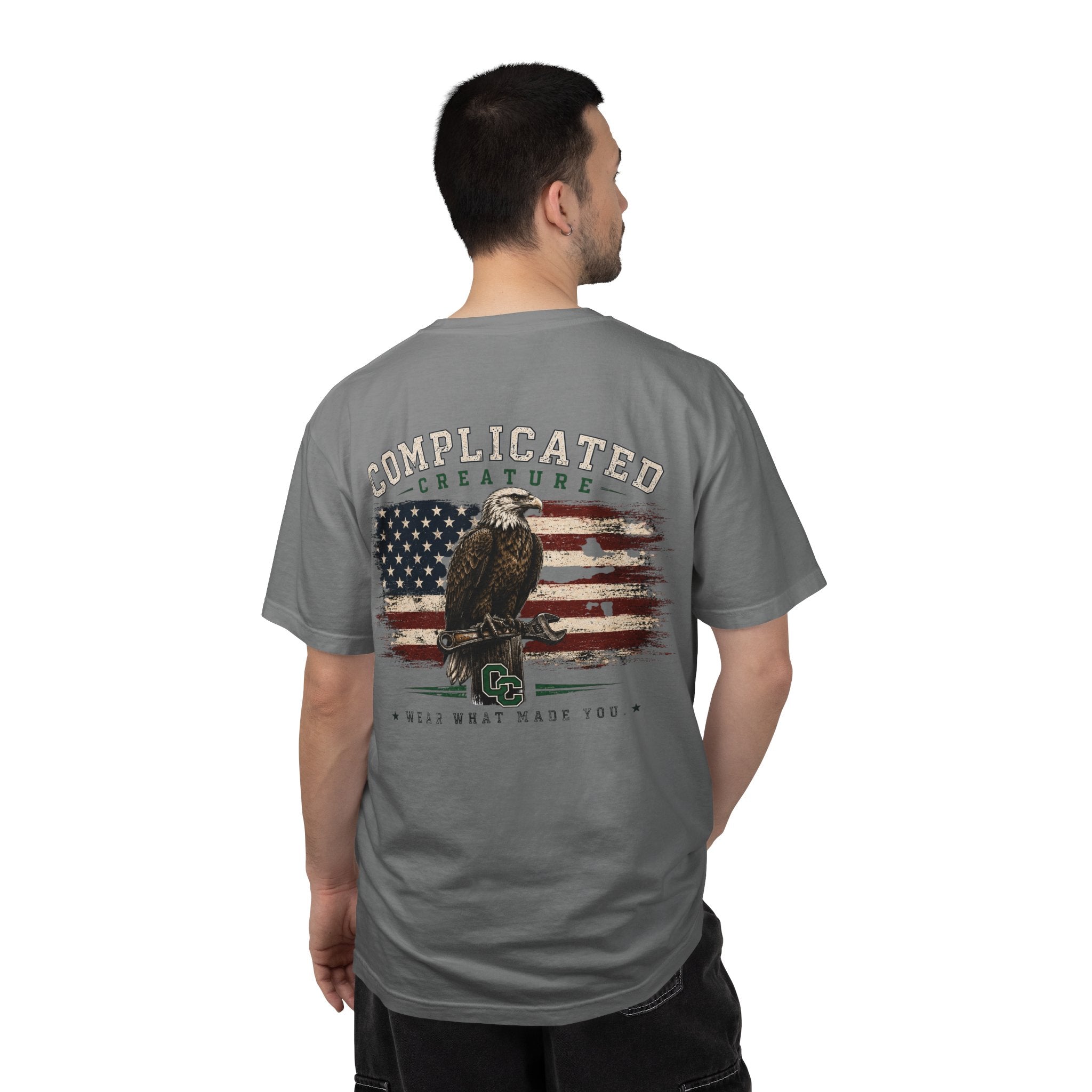 American Flag and eagle CC