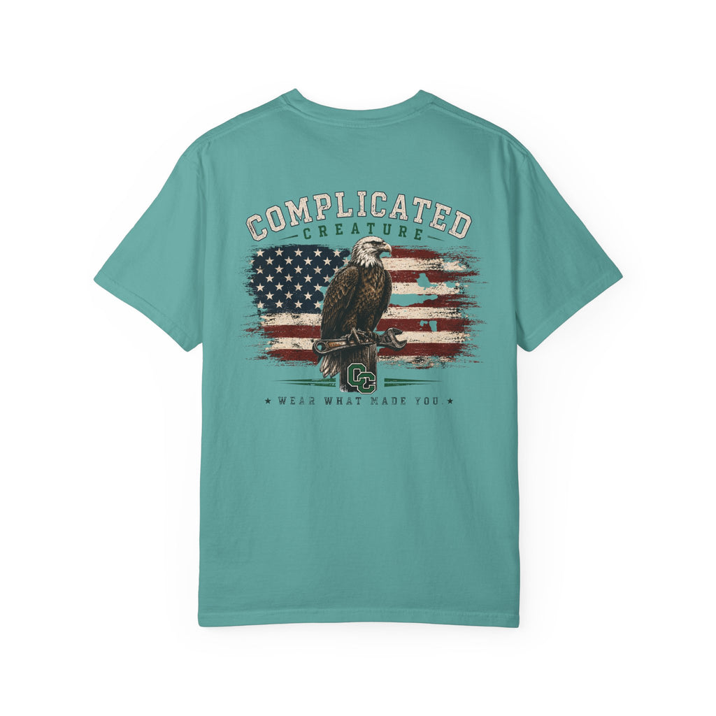 American Flag and eagle CC