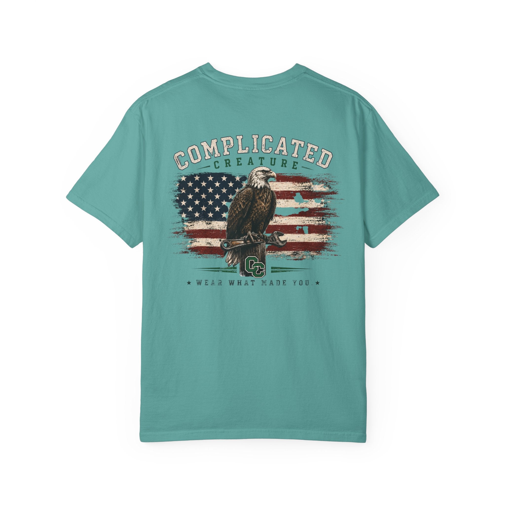 American Flag and eagle CC