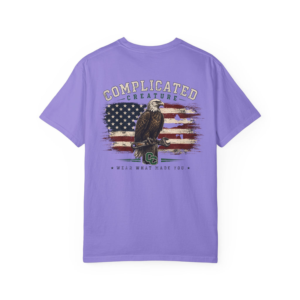 American Flag and eagle CC