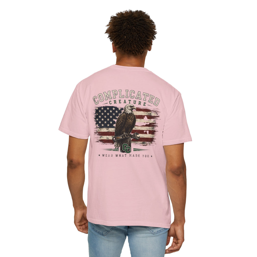 American Flag and eagle CC