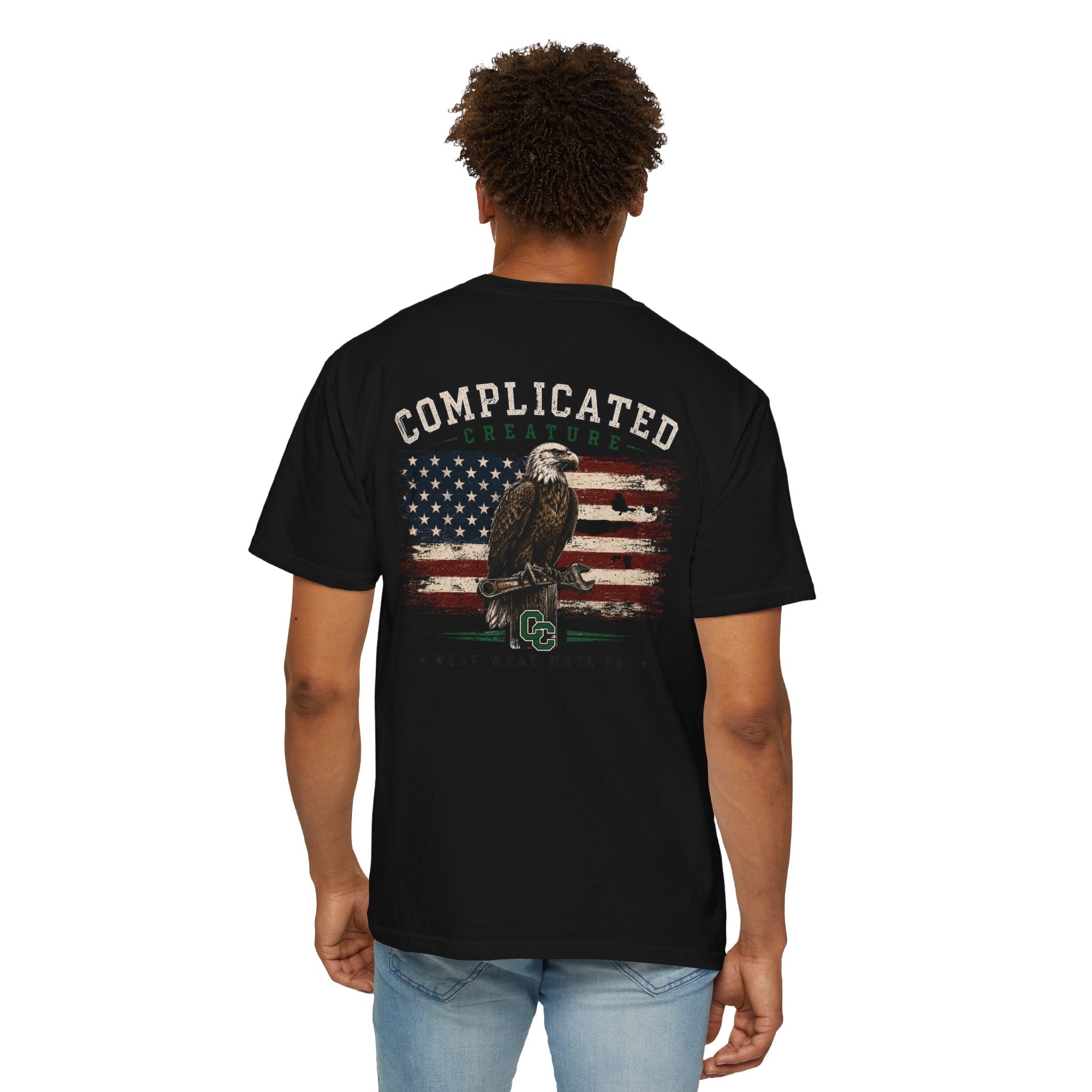 American Flag and eagle CC