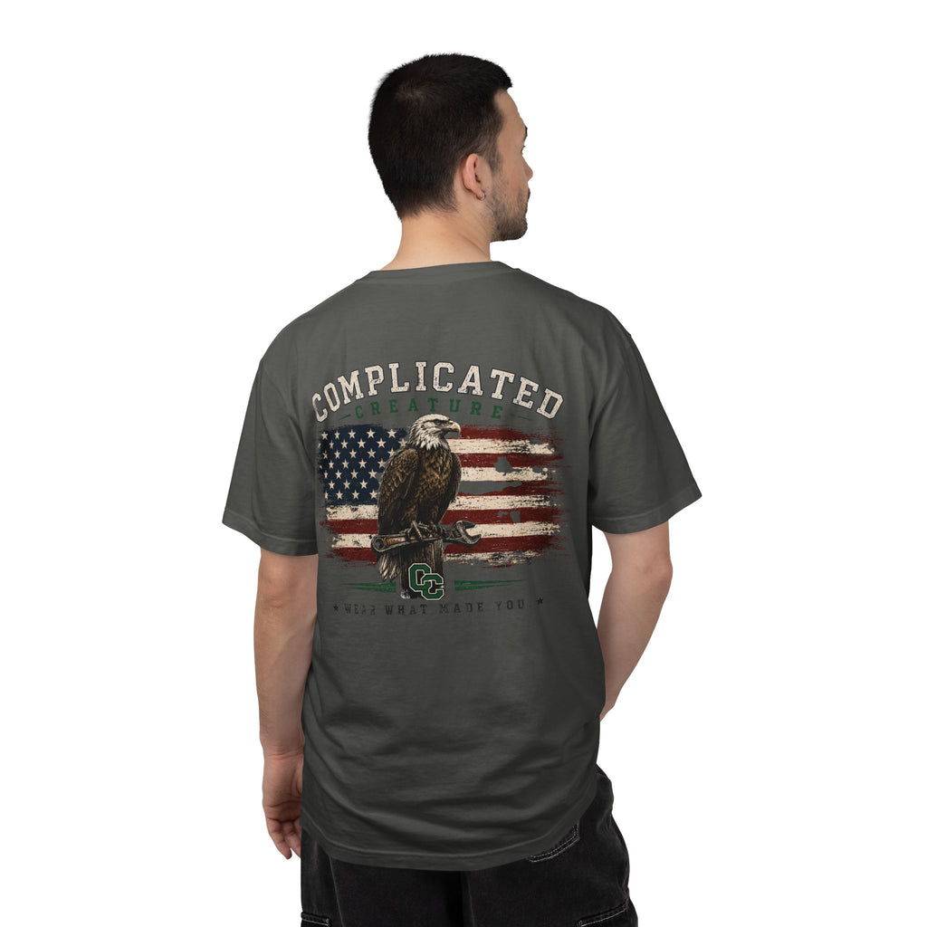 American Flag and eagle CC