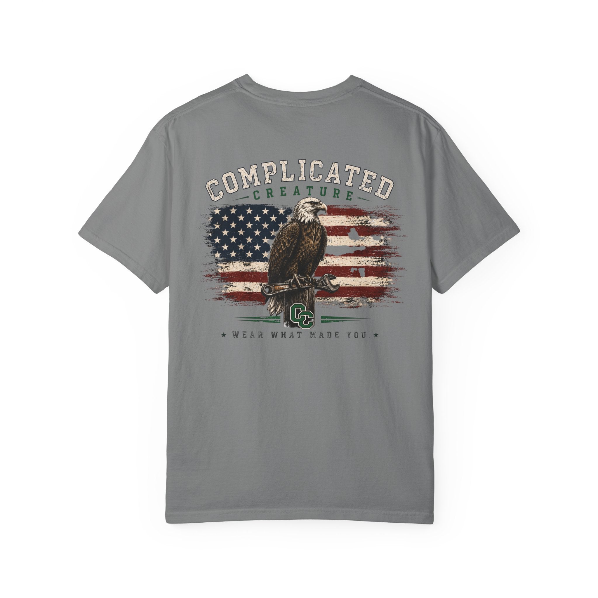 American Flag and eagle CC