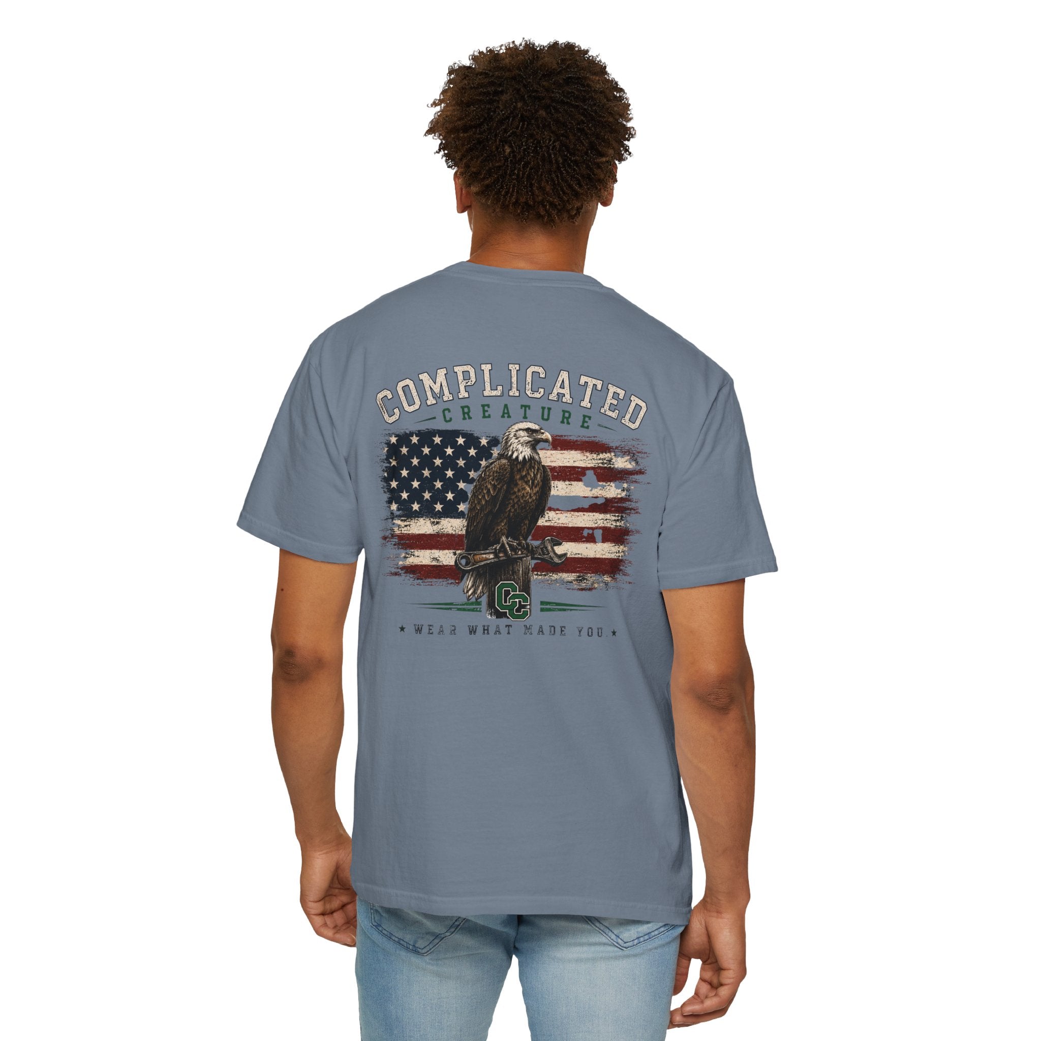 American Flag and eagle CC
